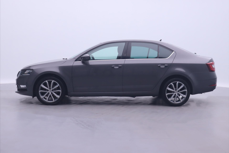 Škoda Octavia 2,0 TDI 110kW Style CZ 1.Maj.